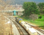 CSX 426 and 523
